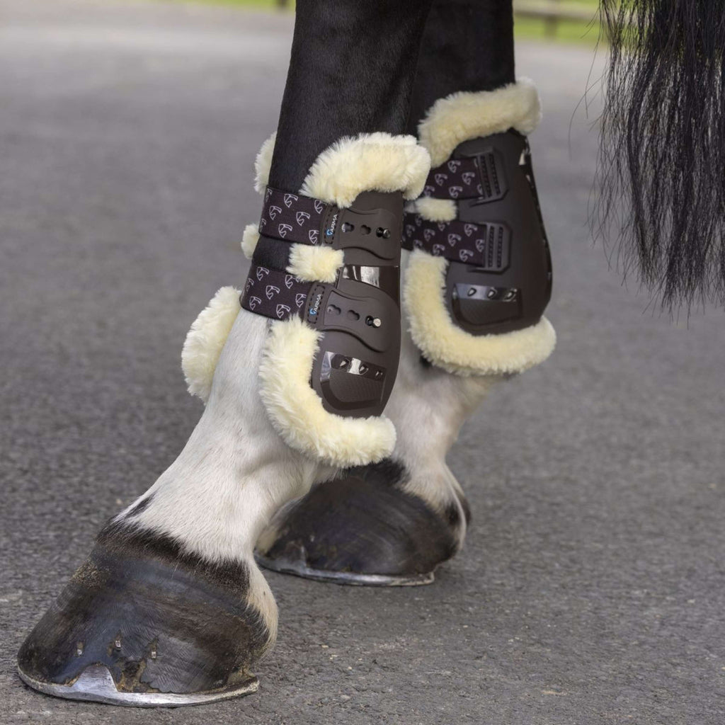 Arma by Shires Fesselkopfgamasche Carbon Pro SupaFleece Braun
