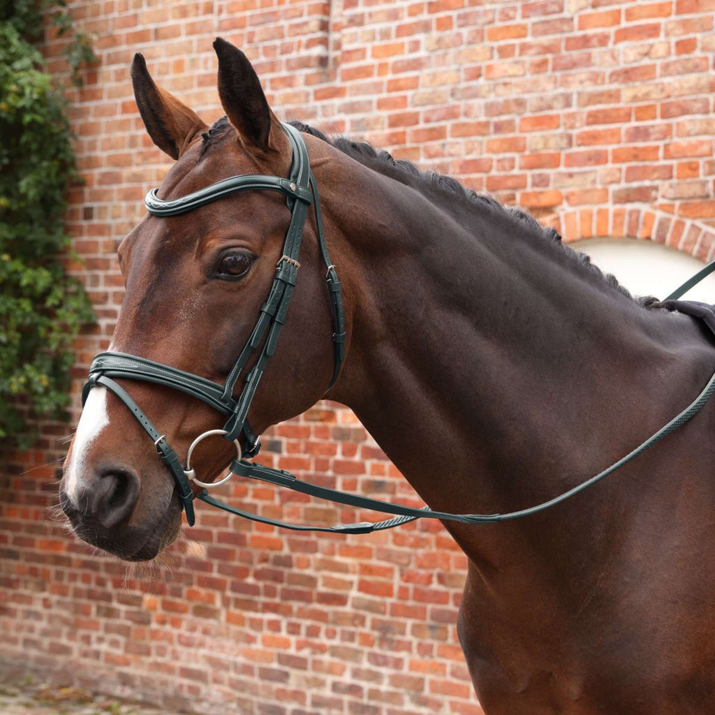 Velociti by Shires Zügel Lusso Elite Pro SureGrip Schwarz