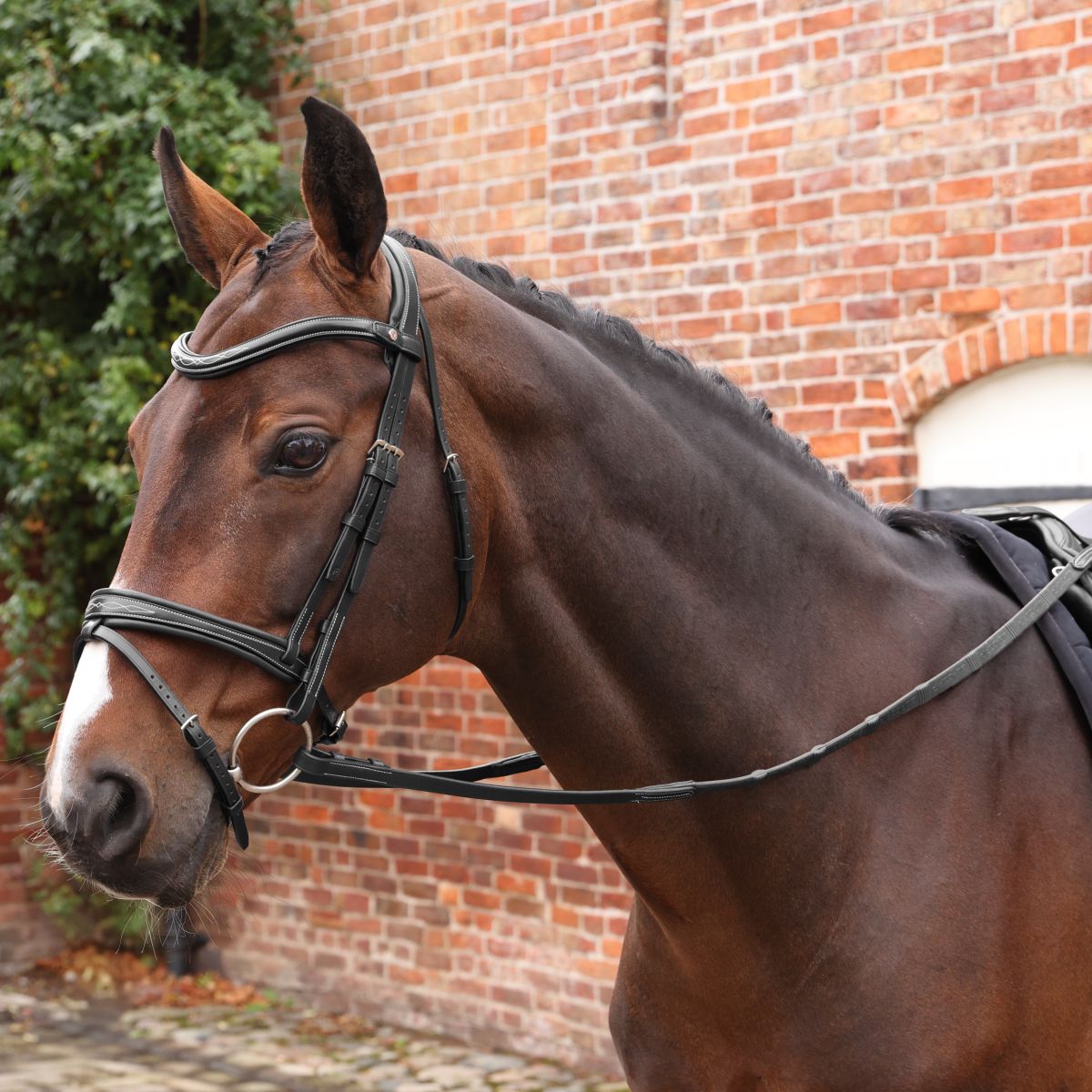 Velociti by Shires Zügel Lusso Elite Pro SureGrip Schwarz
