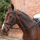 Velociti by Shires Zügel Lusso Elite Pro SureGrip Schwarz