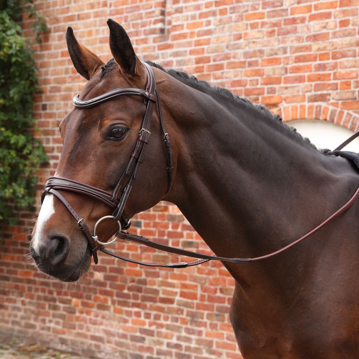 Velociti by Shires Zügel Lusso Elite Pro SureGrip Havanna
