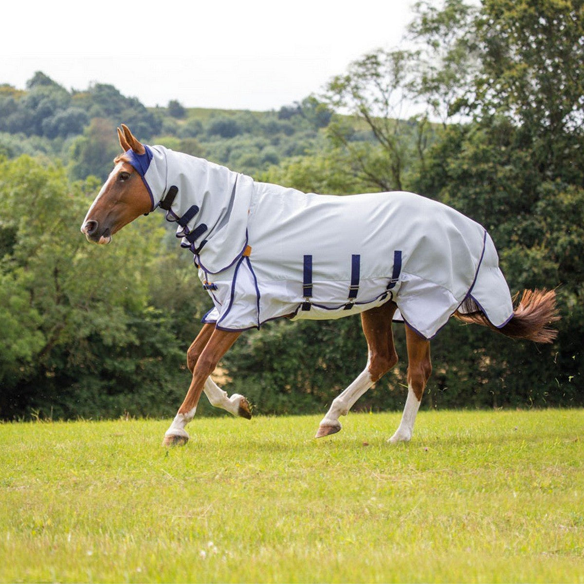 Shires Fliegendecke Highlander plus Sun Shade Combo Grau