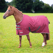 Tempest Original Winterdecke Turnout 200g Maroon