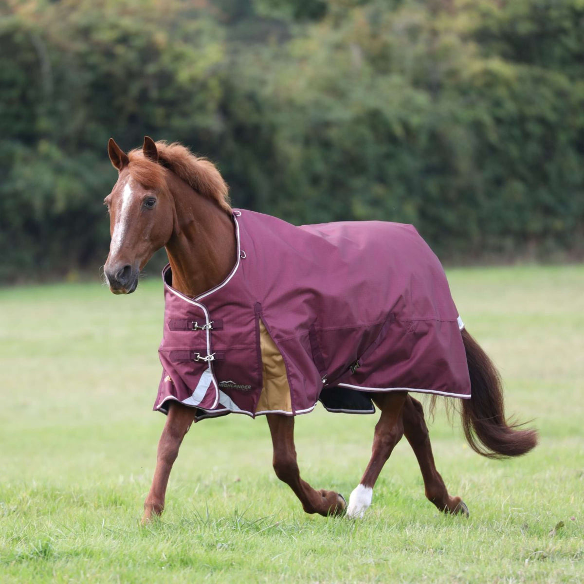 Highlander Plus Winterdecke Turnout 100g Maroon