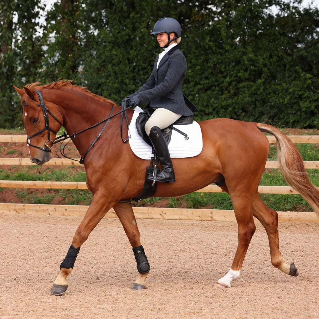 Aubrion by Shires Turnierjacket Saratoga Juniper Navy Check