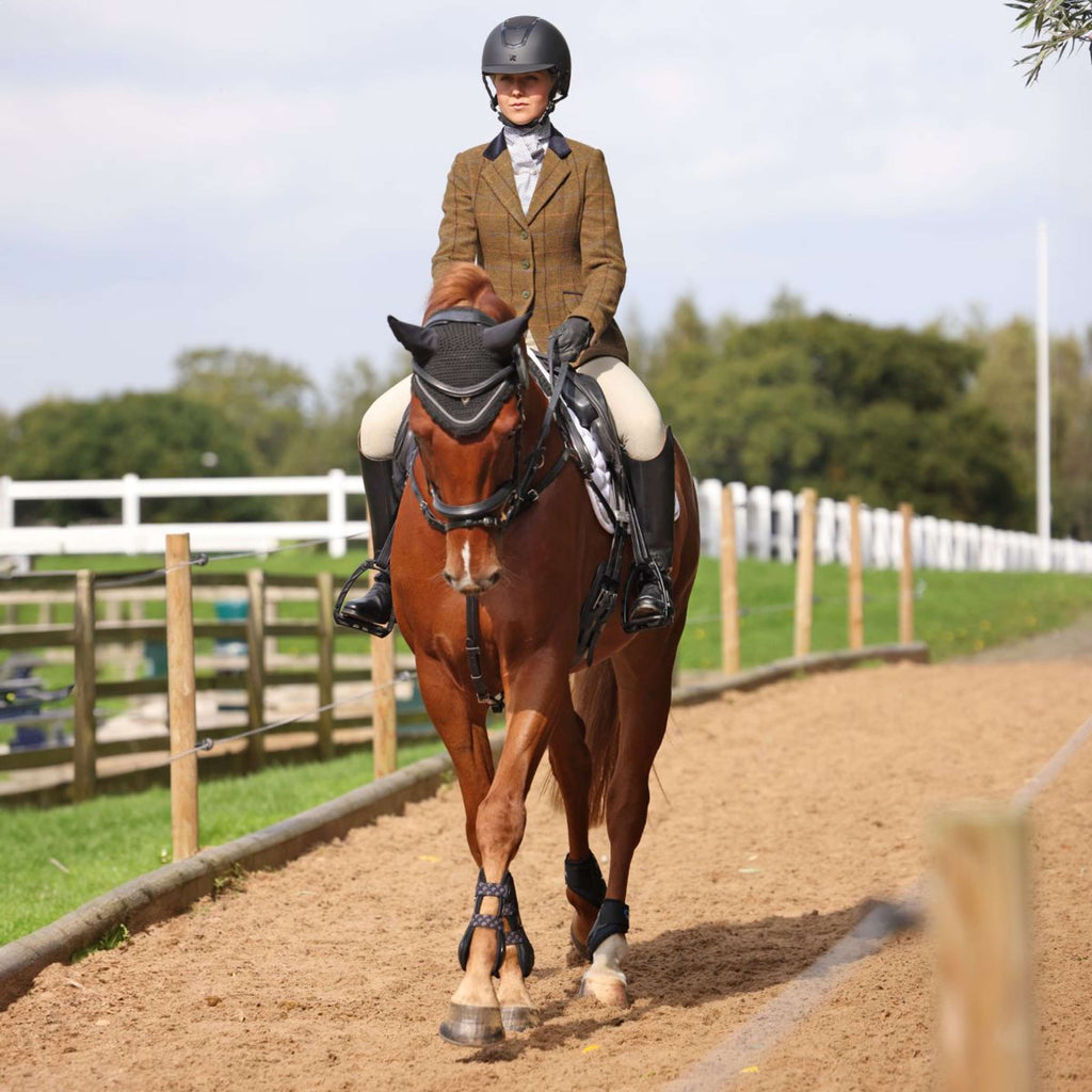Aubrion by Shires Turnierjacket Saratoga Eichenbraun Check