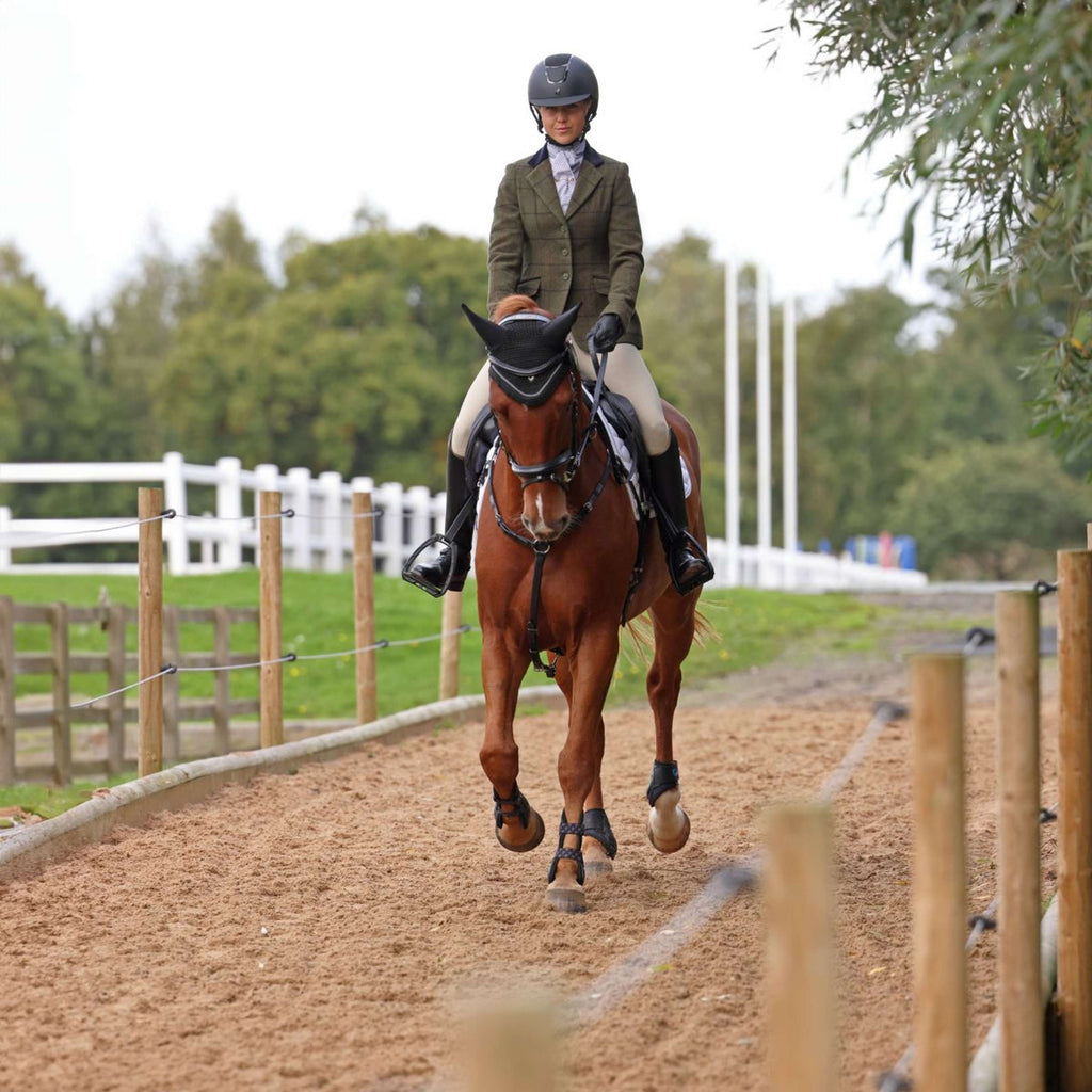 Aubrion by Shires Turnierjacket Saratoga Spruce Grün Check