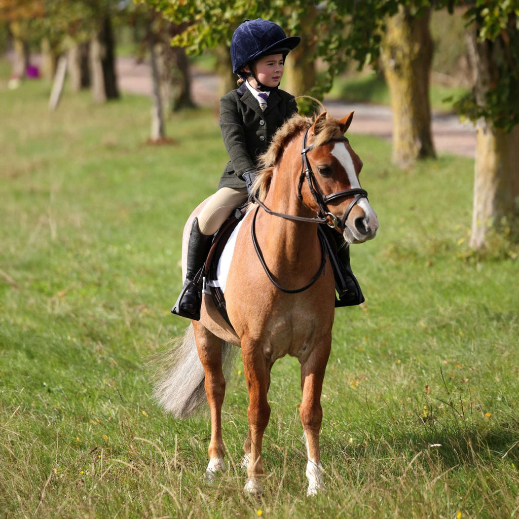 Aubrion by Shires Turnierjacket Saratoga Kinder Dunkel Grün Check