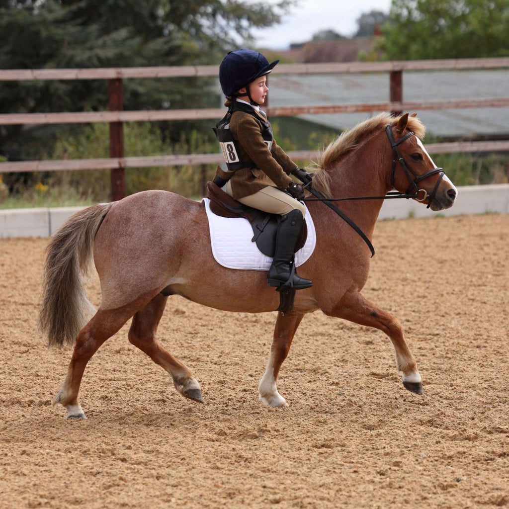 Aubrion by Shires Turnierjacket Saratoga Kinder Rost Check