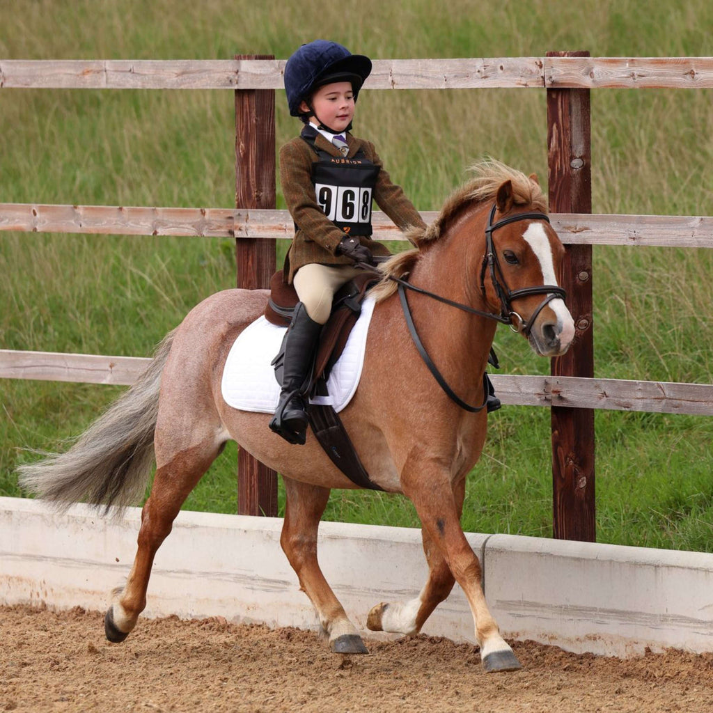 Aubrion by Shires Turnierjacket Saratoga Kinder Rost Check