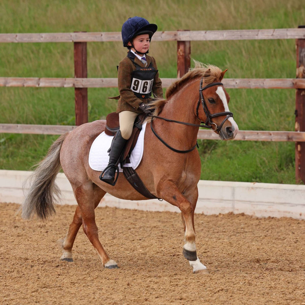 Aubrion by Shires Turnierjacket Saratoga Kinder Rost Check