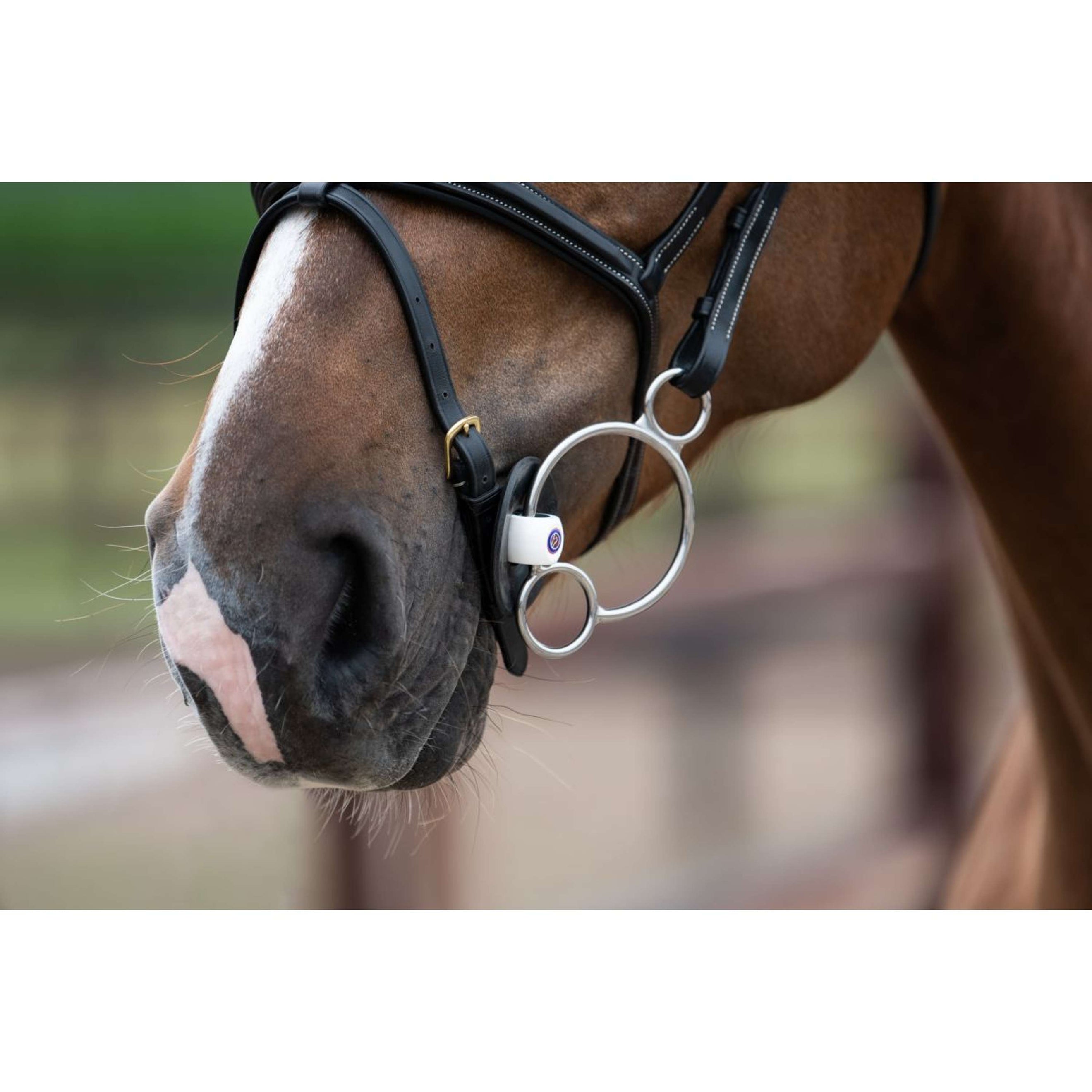 Trust Pessoa Gebiss Inno Sense 2,5 Ring Port Medium Slim 14mm