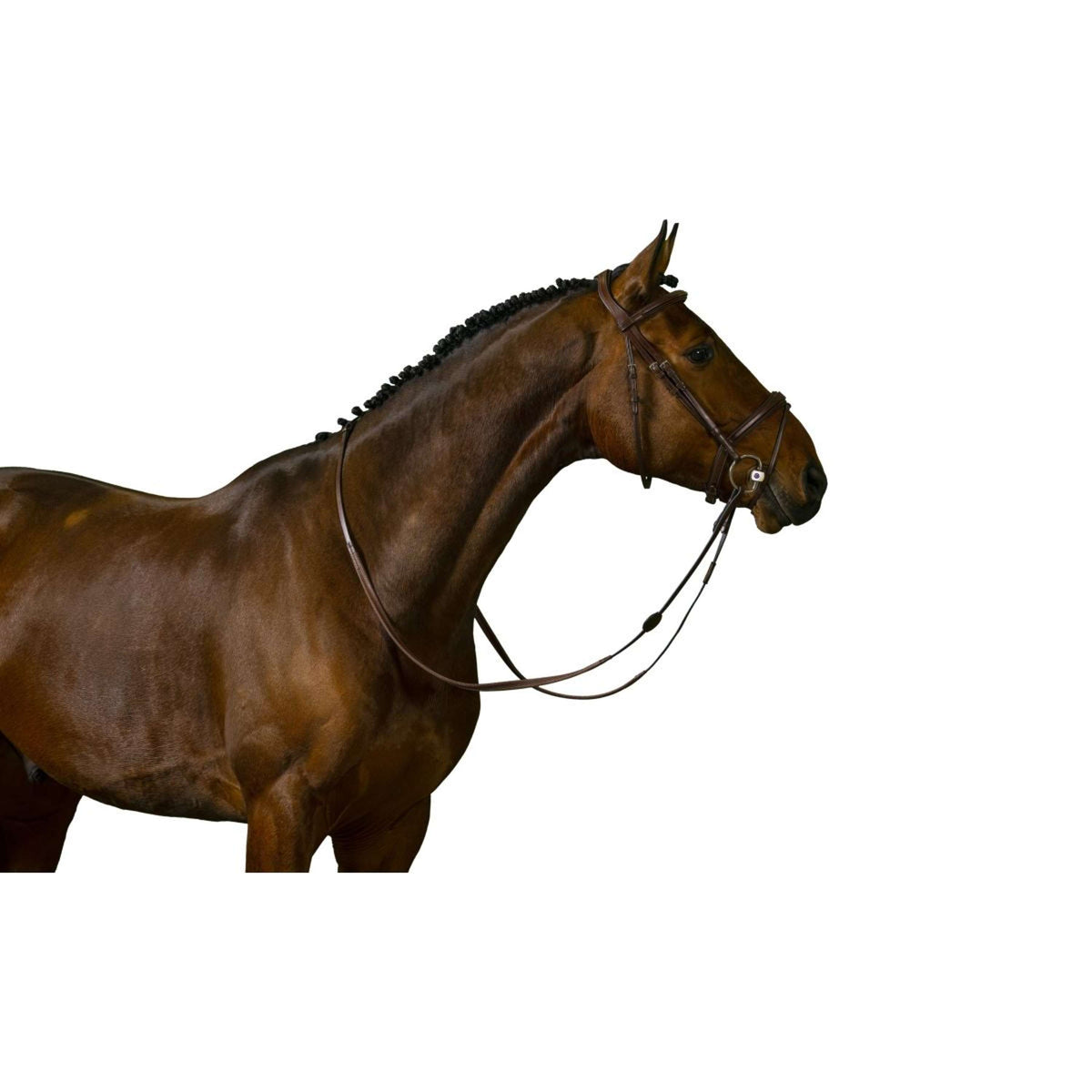 Trust Zaum Amsterdam Braun/Silber