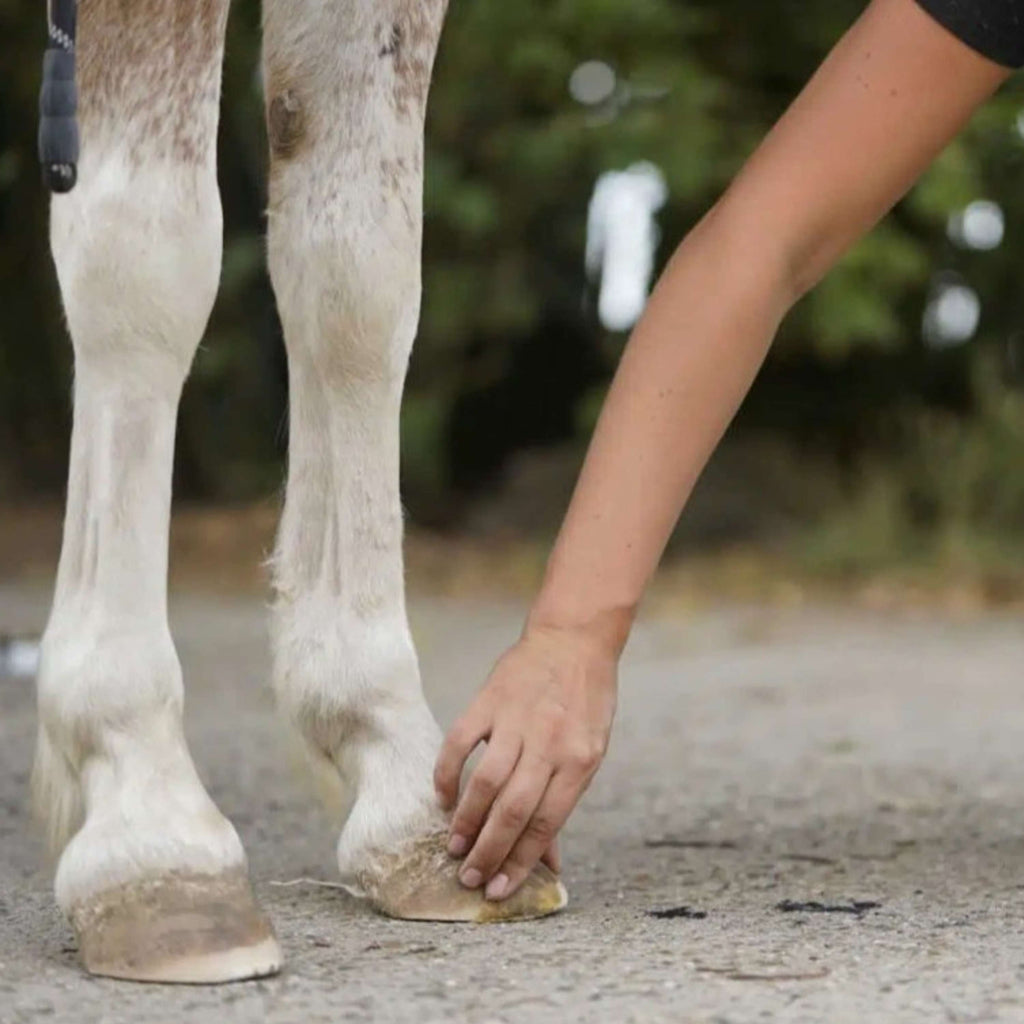 Unique-horn Hoof Wax Repair Gelb