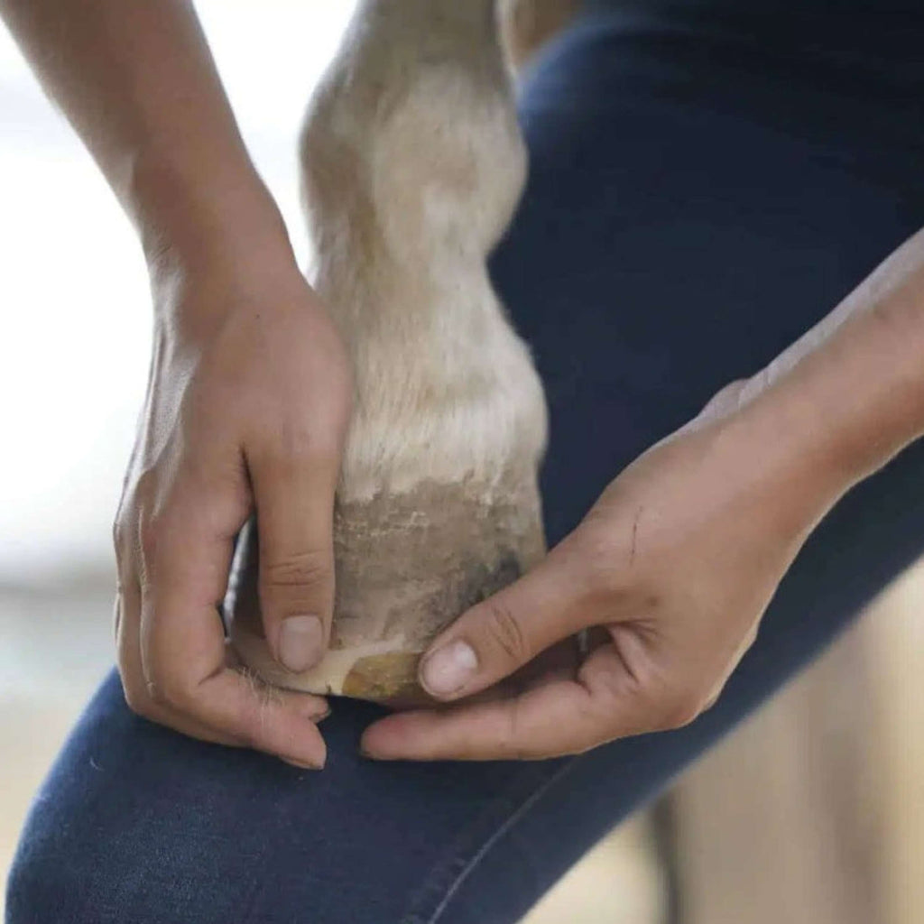Unique-horn Hoof Wax Repair Gelb