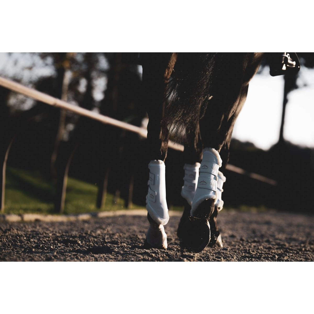 Veredus Gamaschen TRB Save the Sheep Rear Weiß