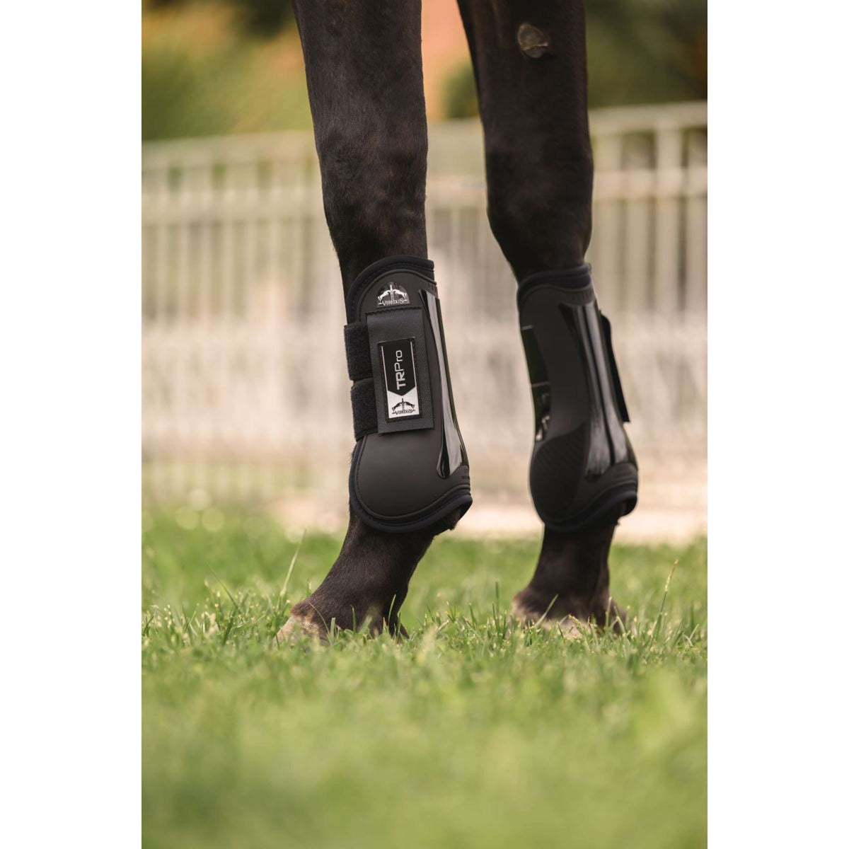 Veredus Sehnenschutz TR PRO Front Schwarz