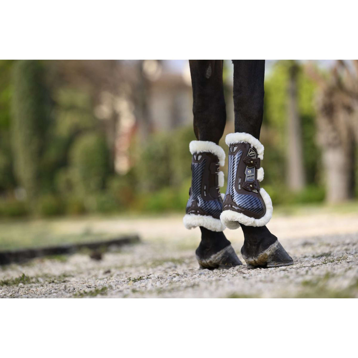 Veredus Sehnenschutz Carbon Gel Absolute Save the Sheep Front Braun