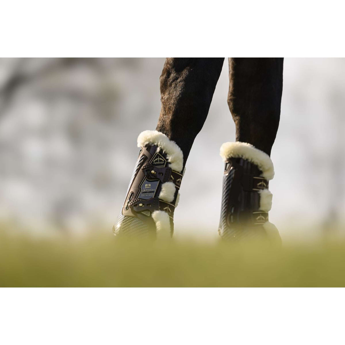 Veredus Sehnenschutz Carbon Gel Absolute Save the Sheep Front Braun