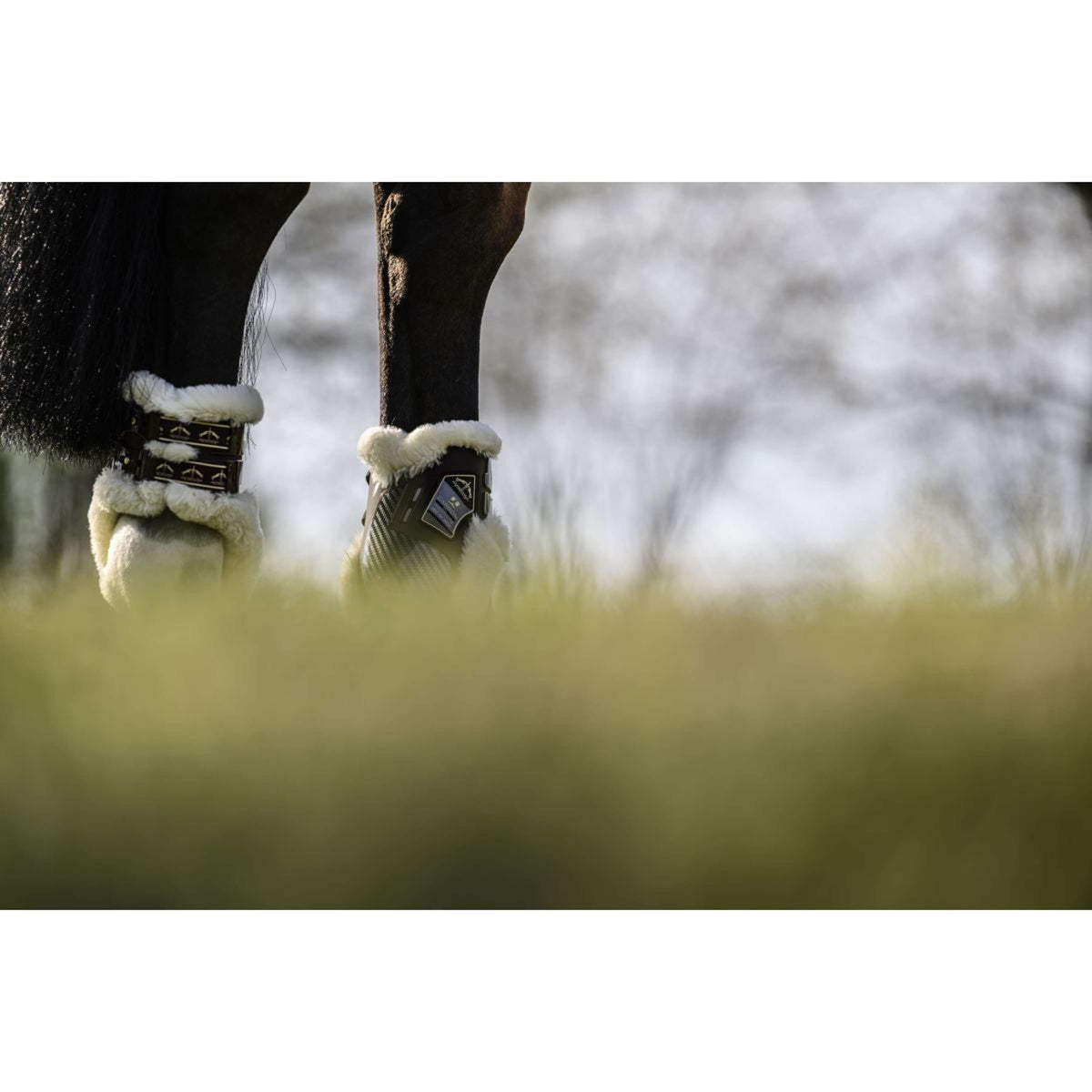 Veredus Streichkappen Carbon Gel Absolute Save the Sheep Rear Braun