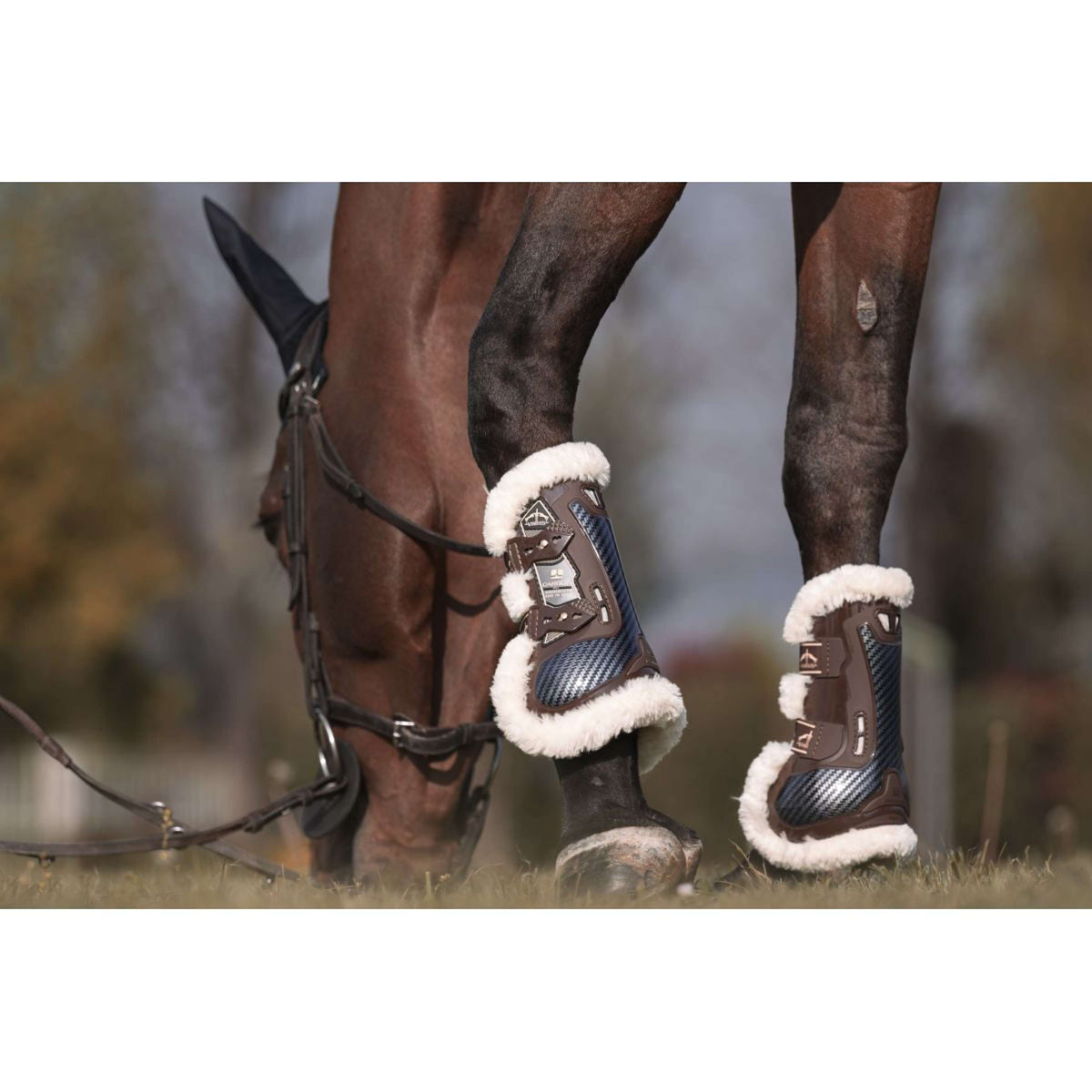 Veredus Sehnenschutz Carbon Gel Absolute Save the Sheep Front Braun