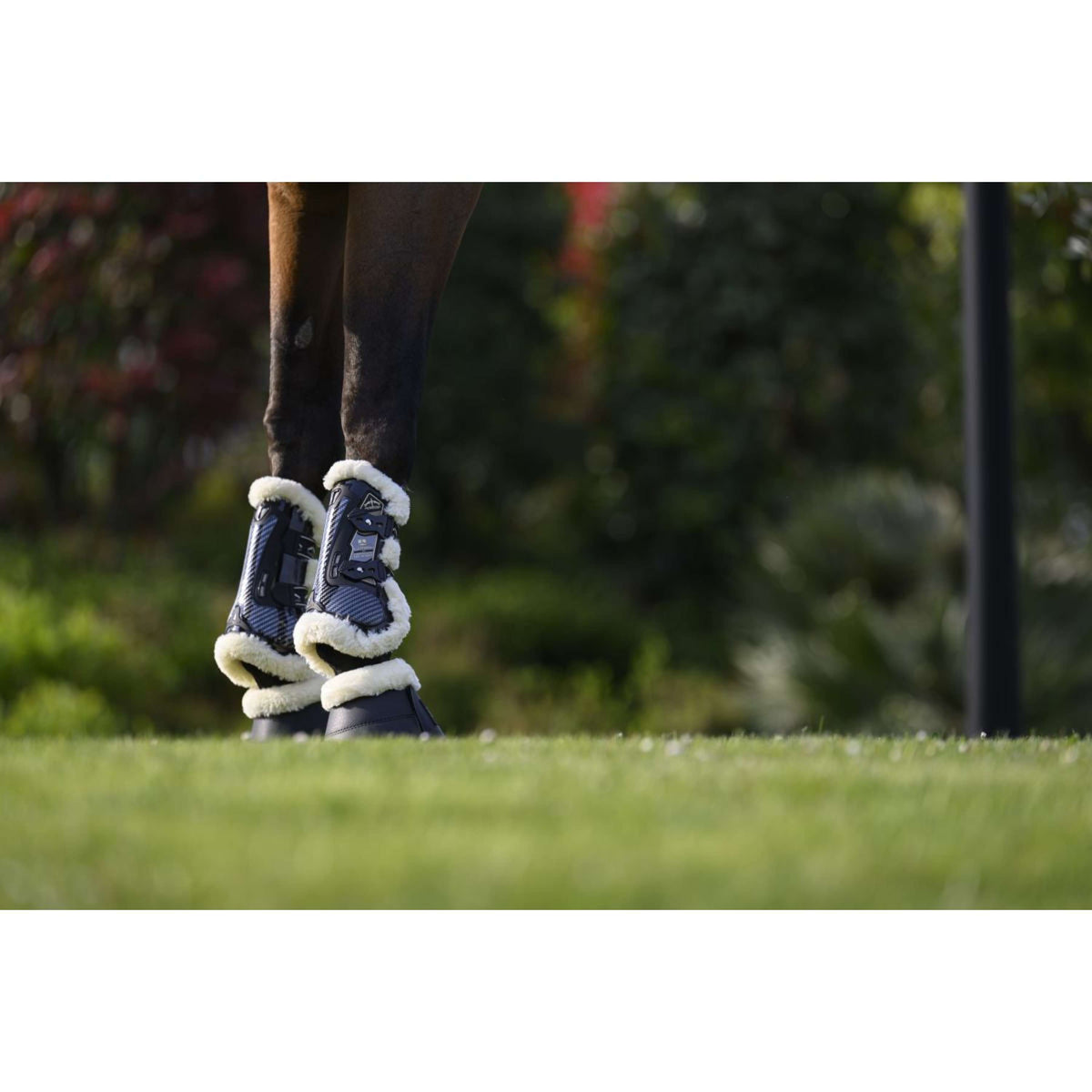 Veredus Sehnenschutz Carbon Gel Absolute Save the Sheep Front Schwarz