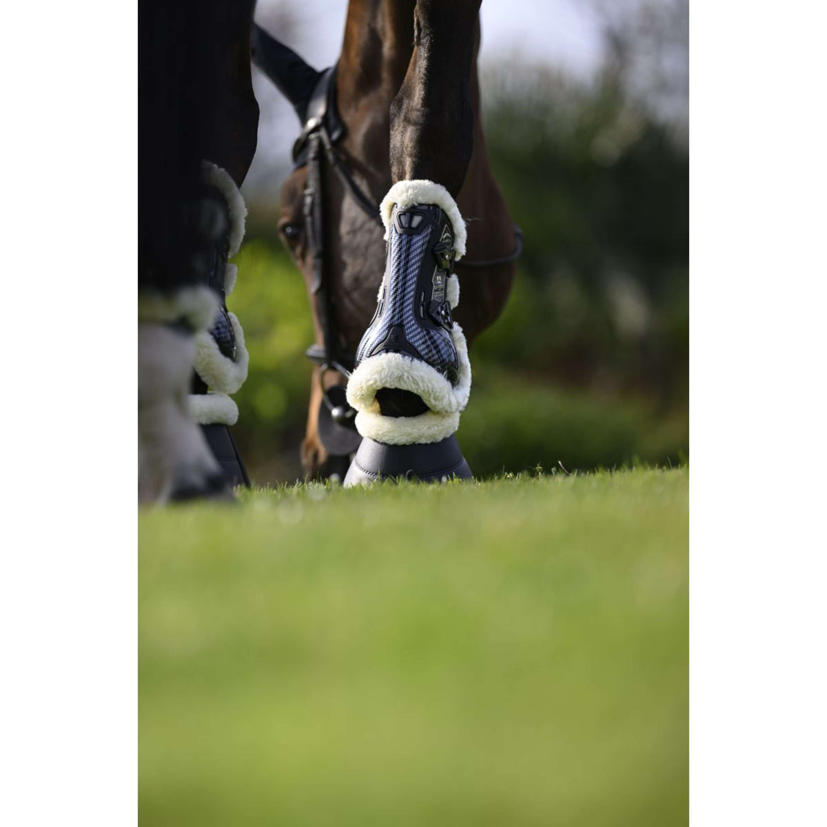 Veredus Sehnenschutz Carbon Gel Absolute Save the Sheep Front Schwarz