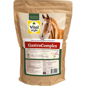 VITALstyle GastroComplex