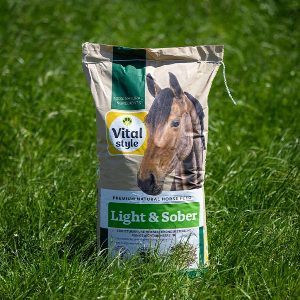 Vitalstyle Müsli Light & Sober