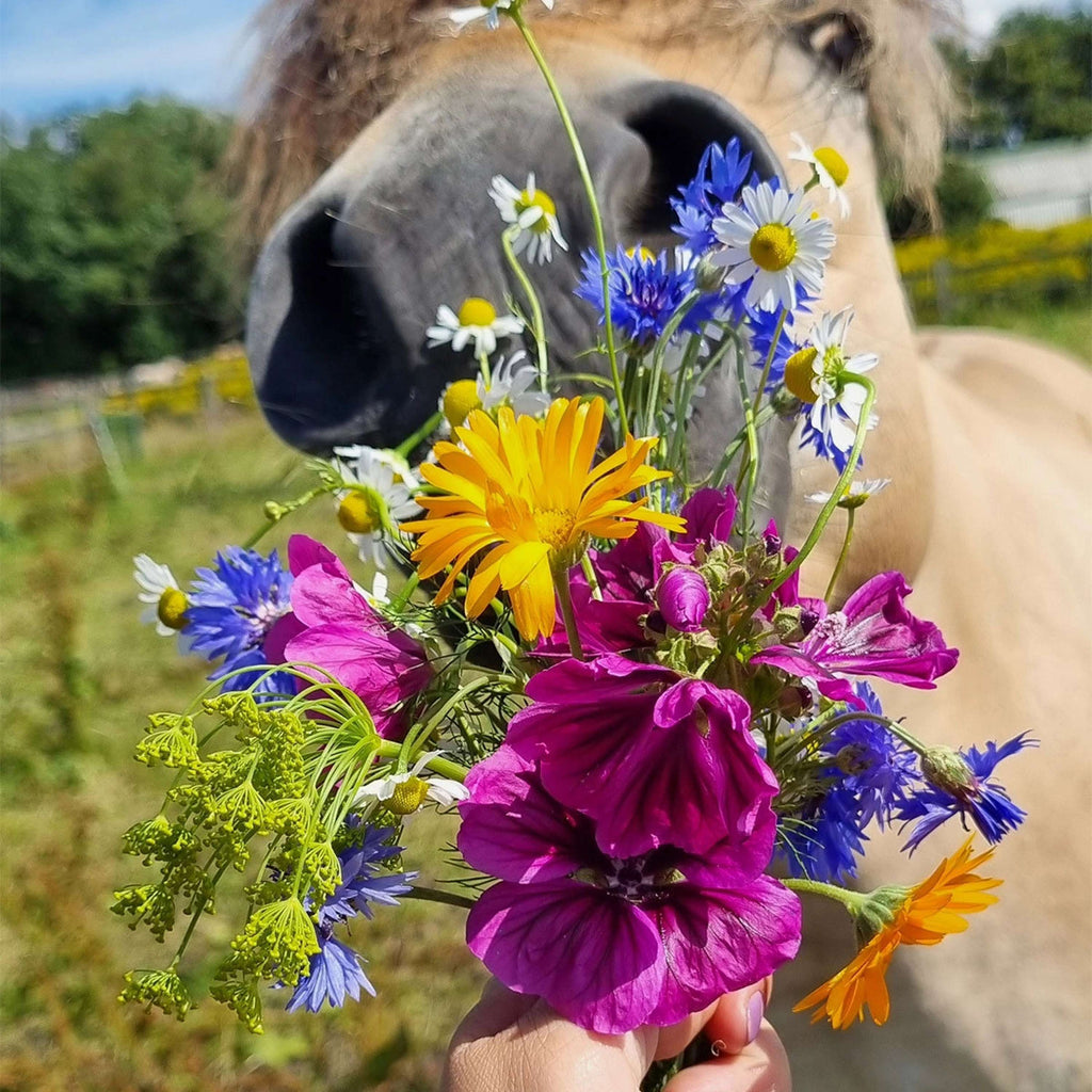 Vitalstyle Wiesenblumen