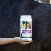 Vitalstyle Elektrolyten Mix Pferd
