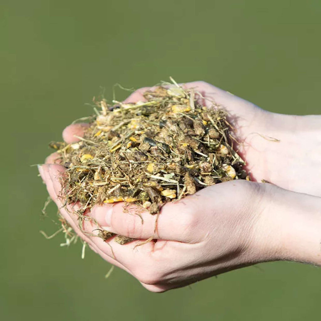 Vitalstyle Müsli Young & Breed