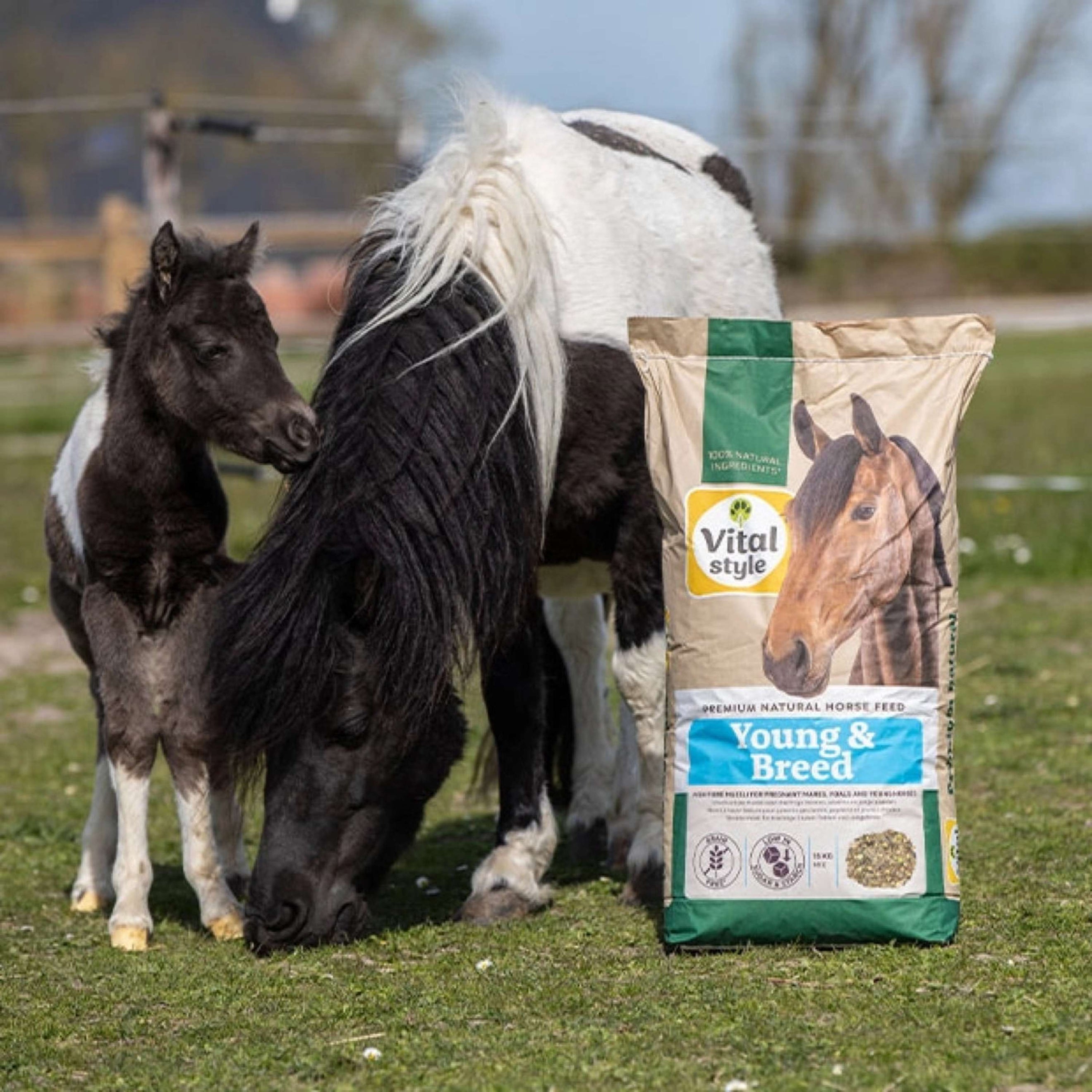Vitalstyle Müsli Young & Breed Vitalstyle Müsli Young & Breed