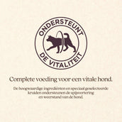Vitalstyle Hund Adult
