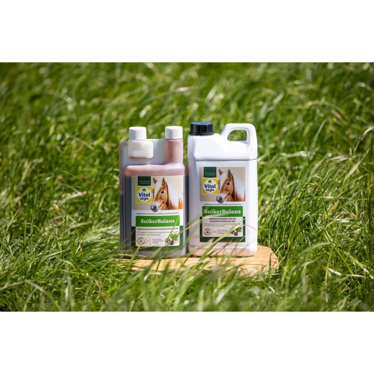 Vitalstyle Zucker Balance