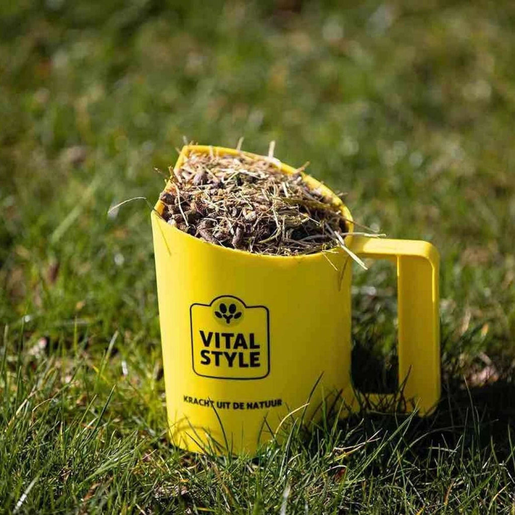 Vitalstyle Müsli Gut & Gastro
