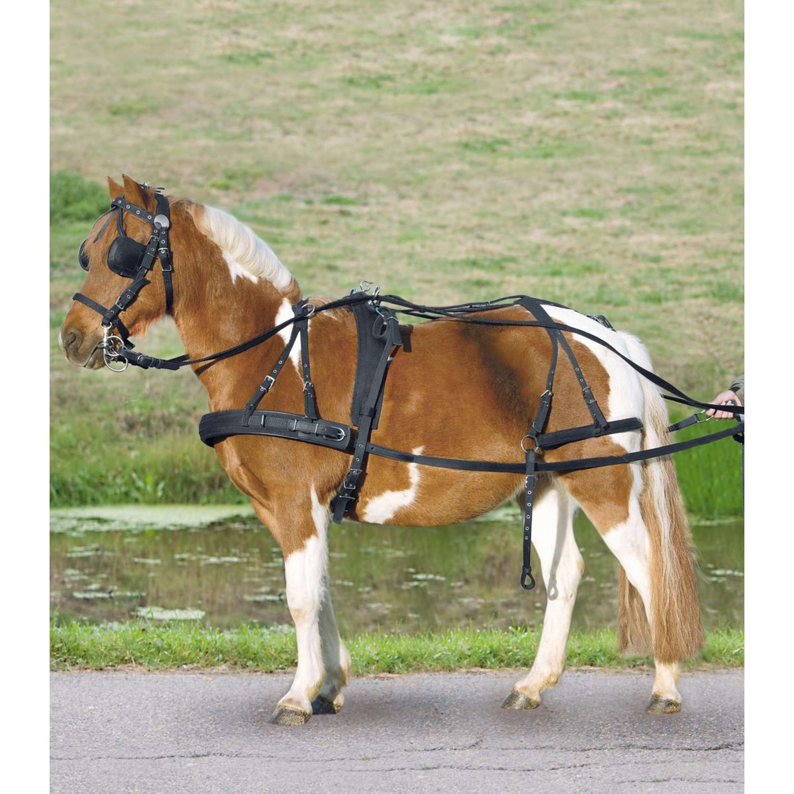 Waldhausen Geschirr Einspänner Nylon Schwarz Waldhausen Geschirr Einspänner Nylon Schwarz
