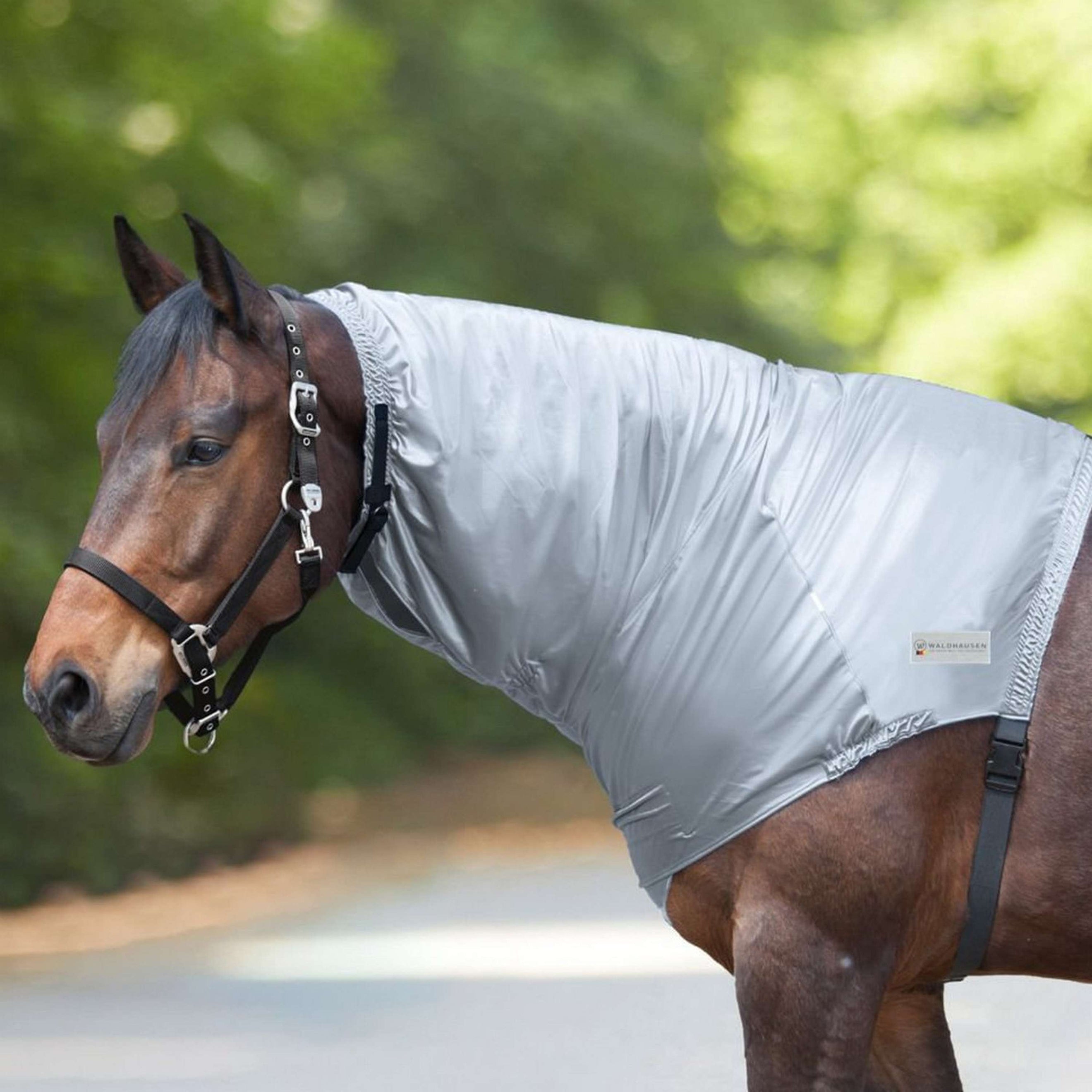 Waldhausen Halsstück Ekzem Silbergrau Waldhausen Halsstück Ekzem Silbergrau