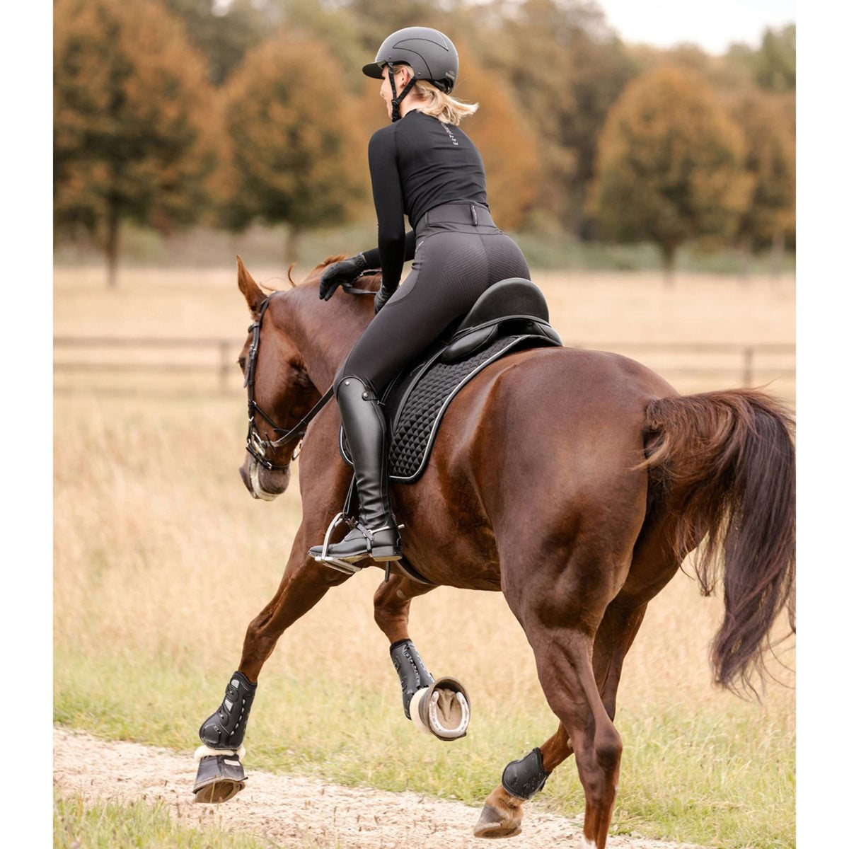 Waldhausen Schabracke Felix Glam Dressur Schwarz
