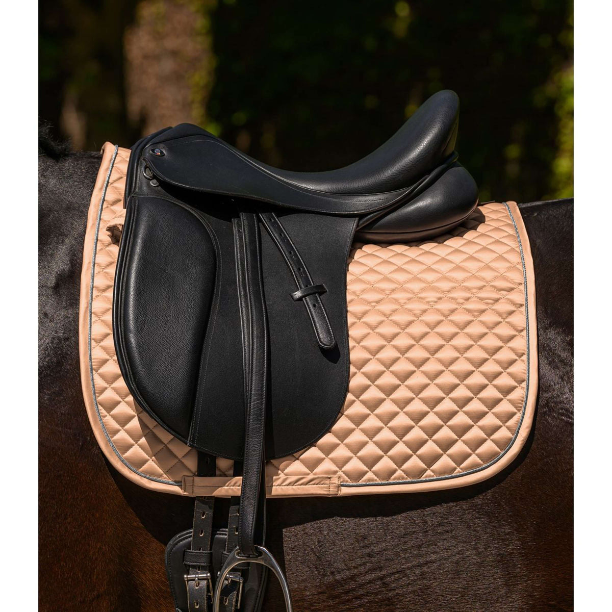 Waldhausen Schabracke Felix Glam Dressur Pfirsichfarben