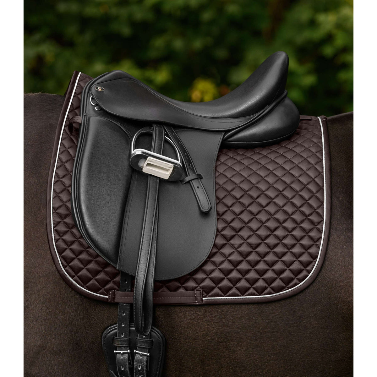 Waldhausen Schabracke Felix Glam Dressur Espresso