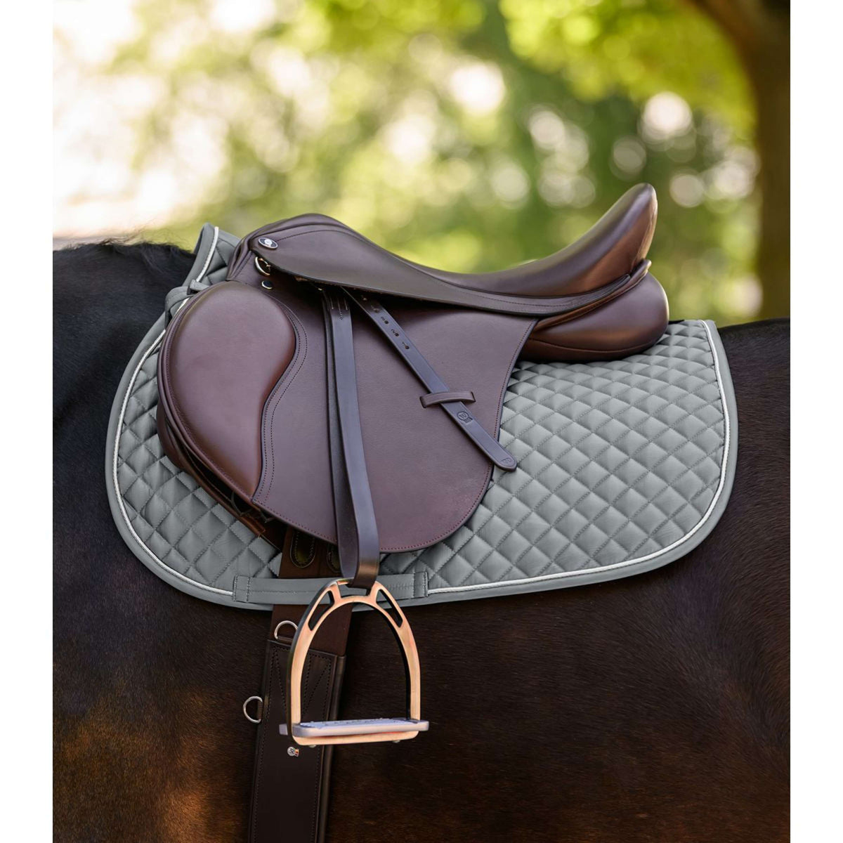 Waldhausen Schabracke Felix Glam Vielseitigkeit Chrome Grey