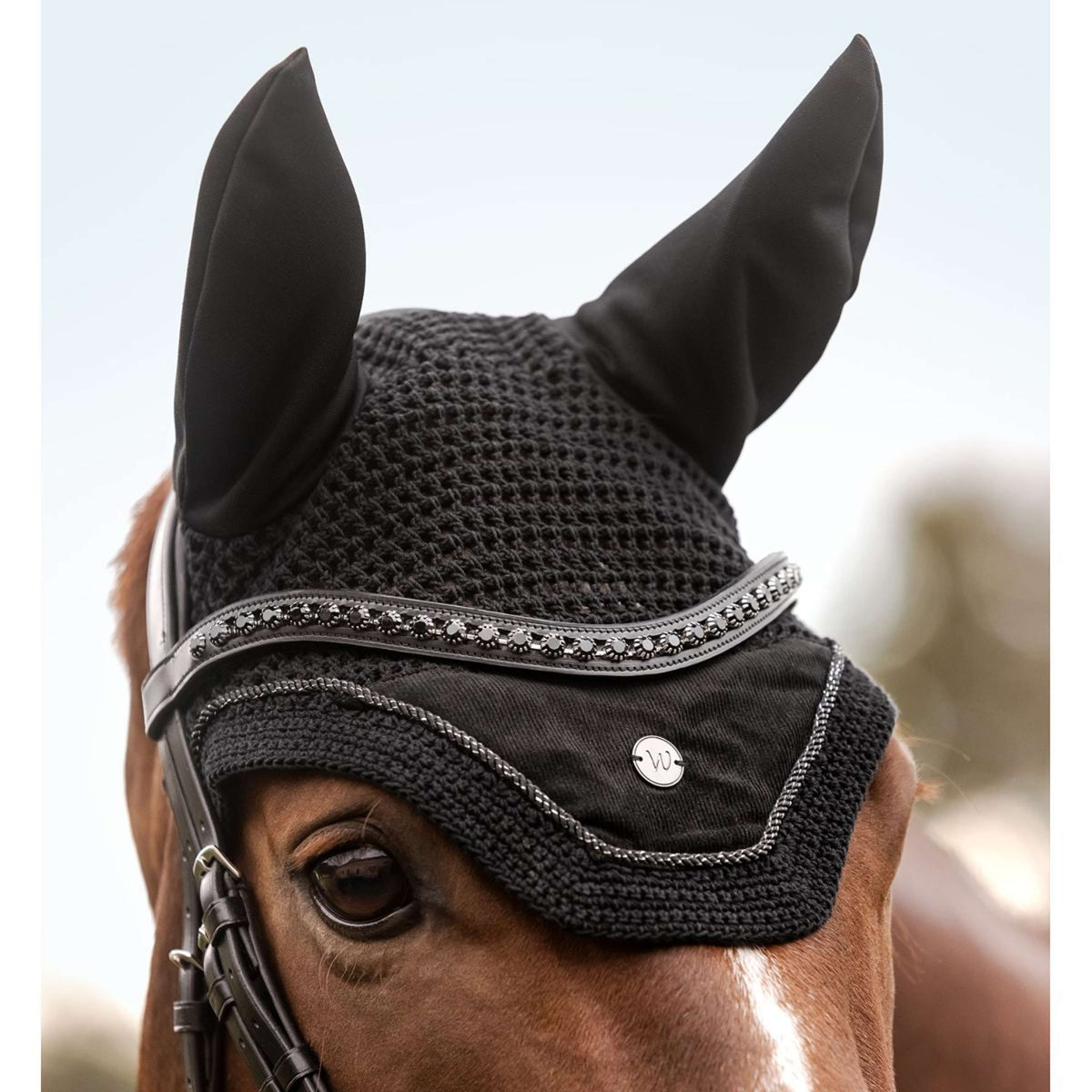 Waldhausen Fliegenhaube St. Gallen Schwarz