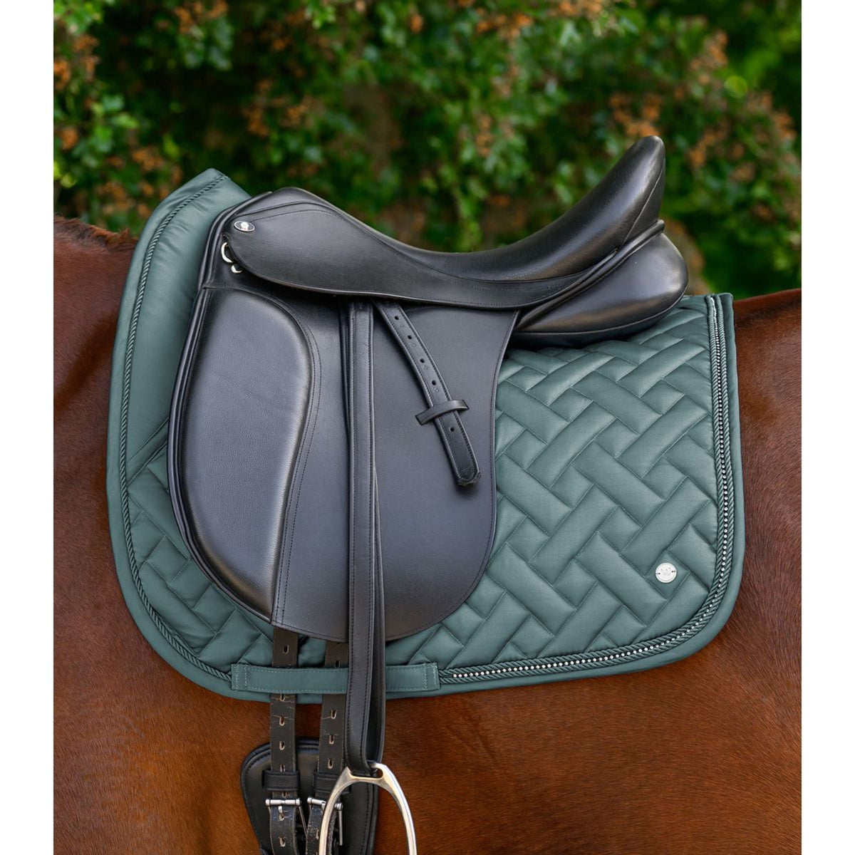 Waldhausen Schabracke Turin Dressur Pine Green