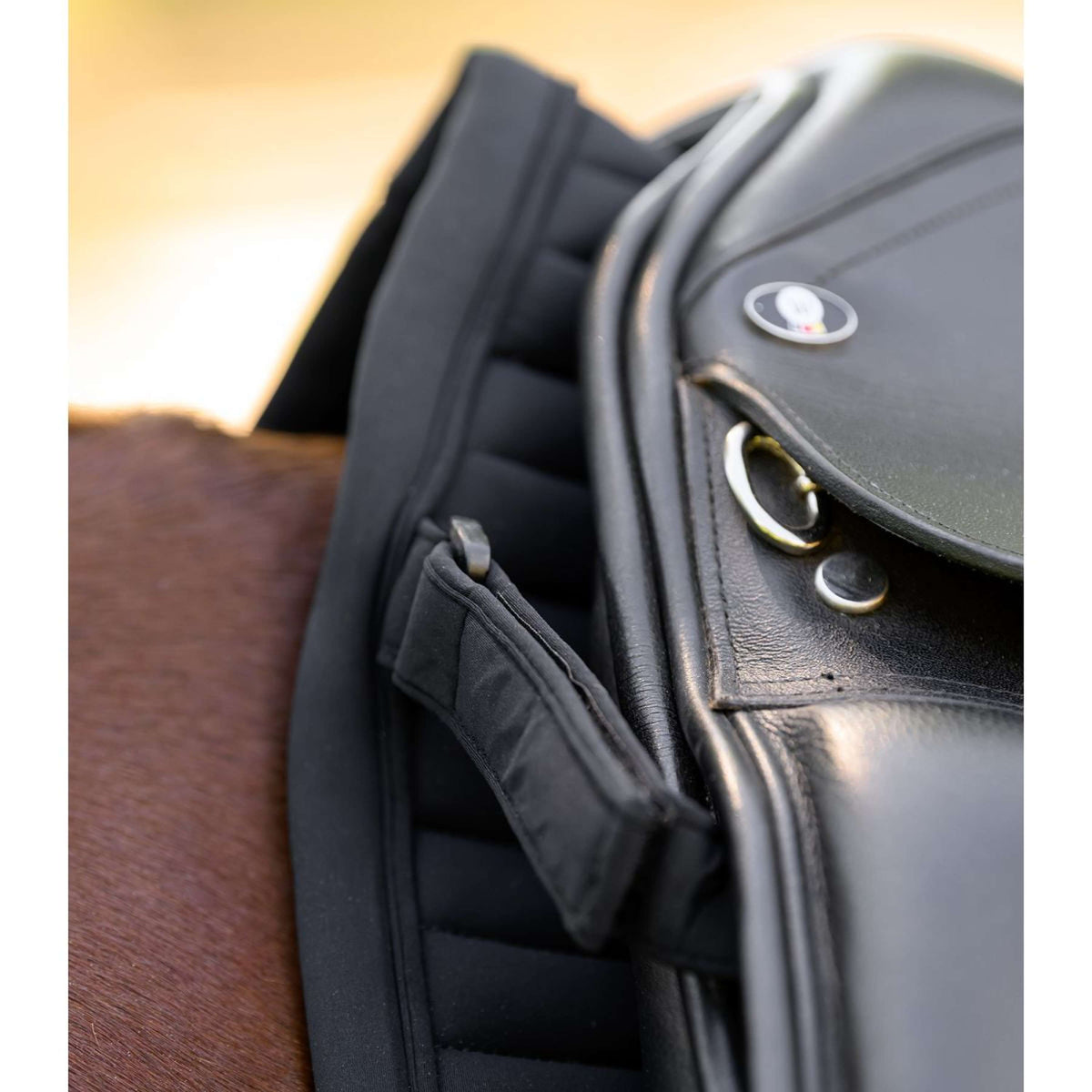 Waldhausen Schabracke Trinidad Dressur Schwarz