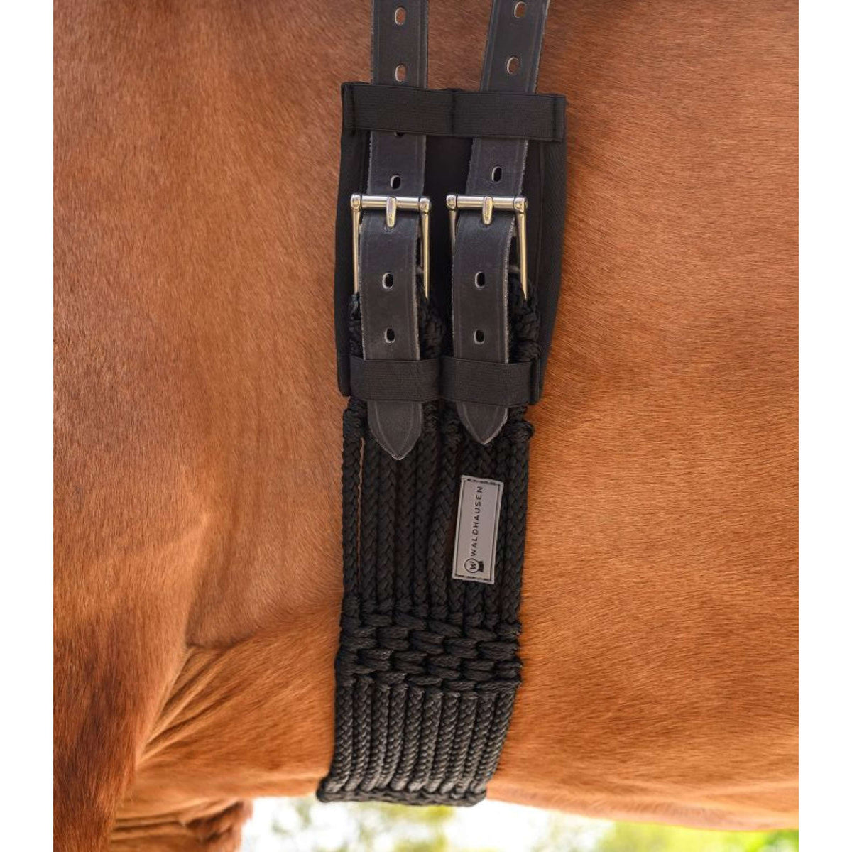 Waldhausen Sattelgurt String Lang Schwarz