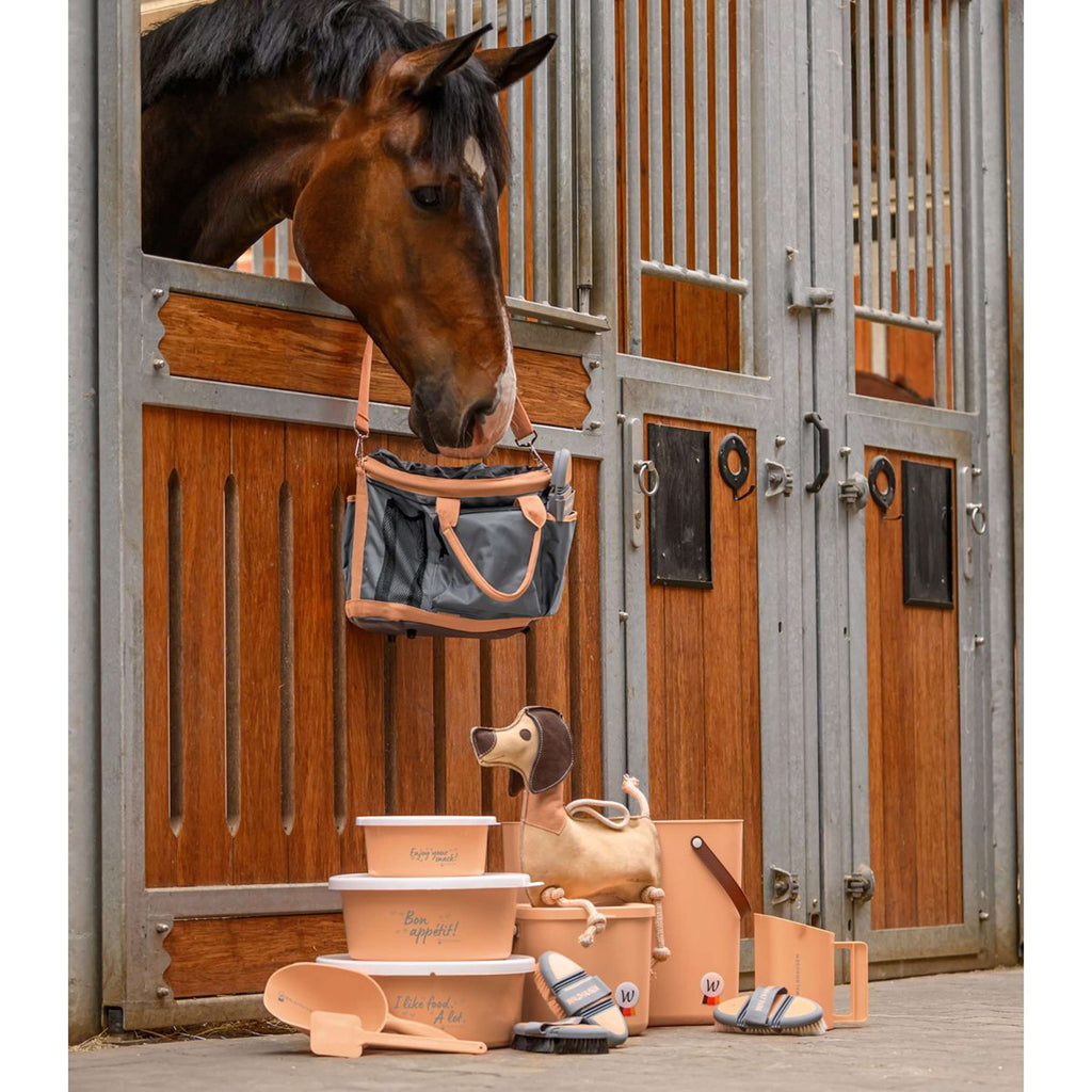 Waldhausen Weiche Kardätsche Flex Pferdehaar Peach/Chrome Grey
