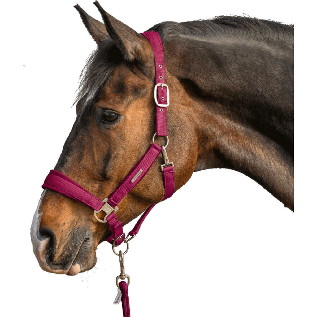 Waldhausen Halfterset Velvet Pomegranate