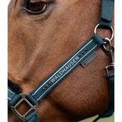 Waldhausen Halfter Elegant Petrol Blue