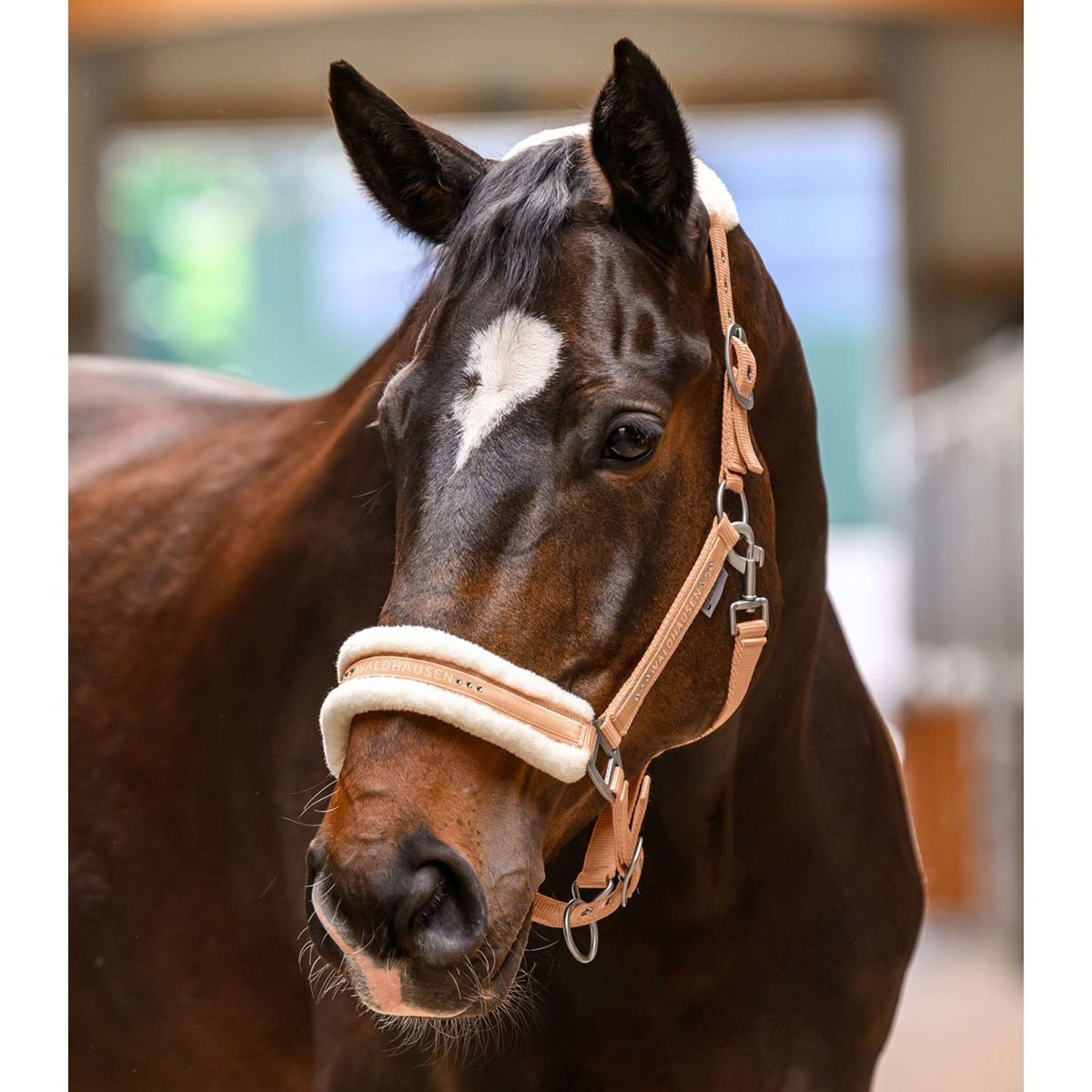Waldhausen Halfter Elegant Pfirsichfarben